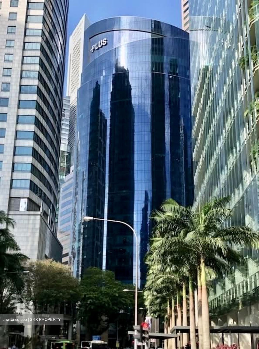 PLUS (D1), Office #558342321